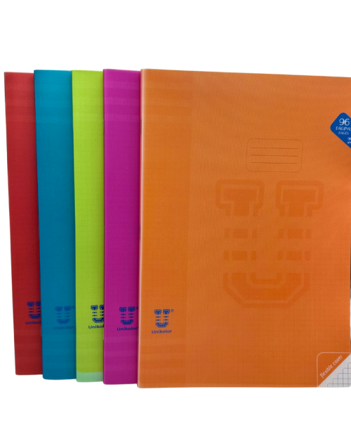 Caderno de folhas quadriculadas, agrafado e capa em polipropileno mole impresso. Papel branco de 90 g/m², com margem. 48 folhas.